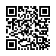 QR Code (код быстрого отклика)