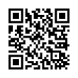 QR Code (код быстрого отклика)